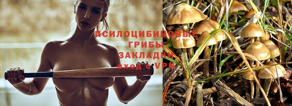 спайс Вяземский