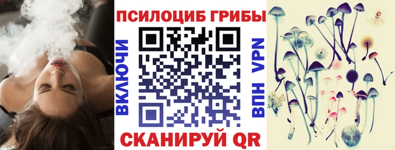 Галлюциногенные грибы мицелий  закладка  Балаково 