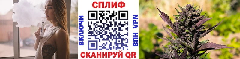 как найти   Балаково  Шишки марихуана сатива 